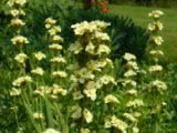 The Gardens of La Basse Cour B&B