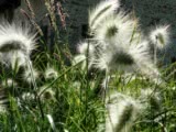 The Gardens of La Basse Cour B&B