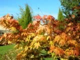 The Gardens of La Basse Cour B&B