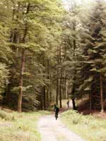 Cycling and walking VTT