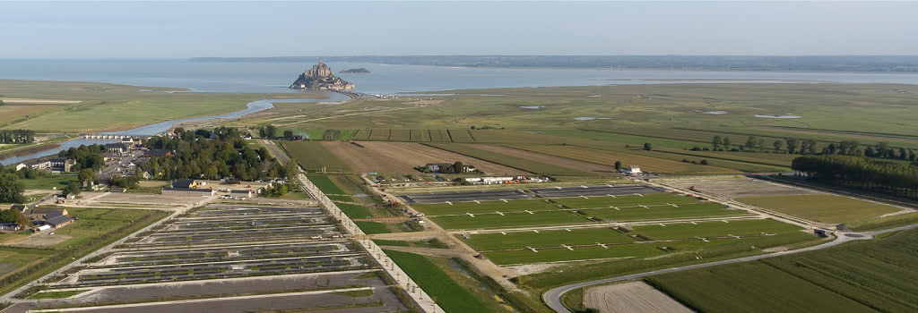 mt-st-michel msm