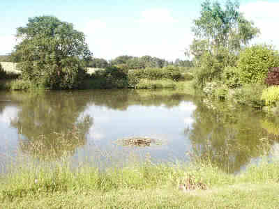 View from kitchen window lake 2004