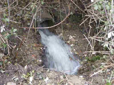 Lake emptying into ditch